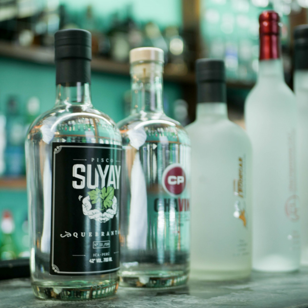 PISCO MIO
