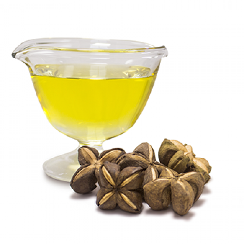 Sacha inchi Extra Virgin Oil Organic & Conventional (Omega-3: 48%)