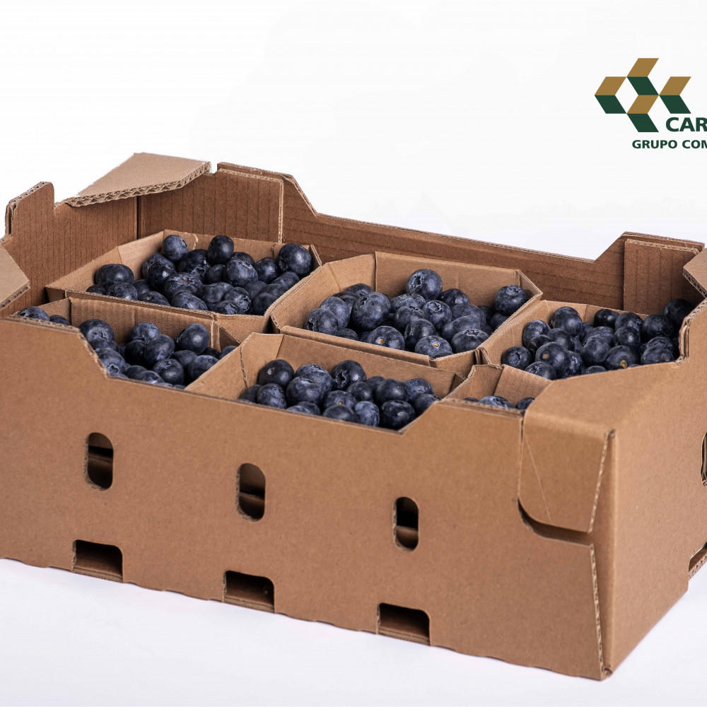 Cajas de exportación para limones / carton / ecologico B2Perú