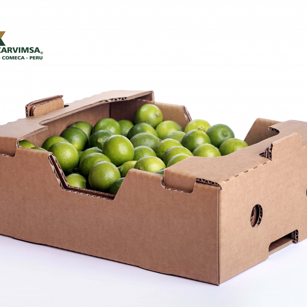 Cajas de exportación para limones / carton / ecologico B2Perú