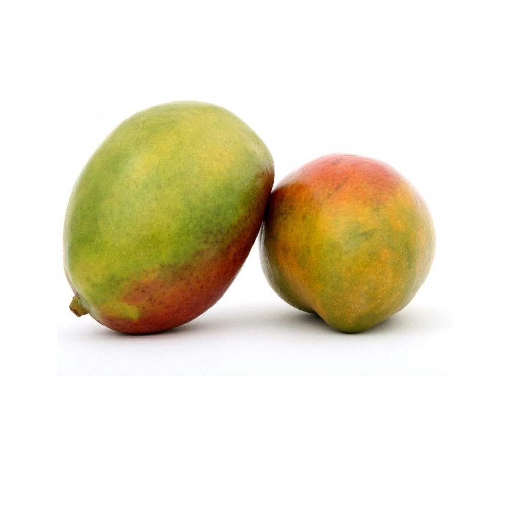 MANGO KENT vía MARÍTIMA