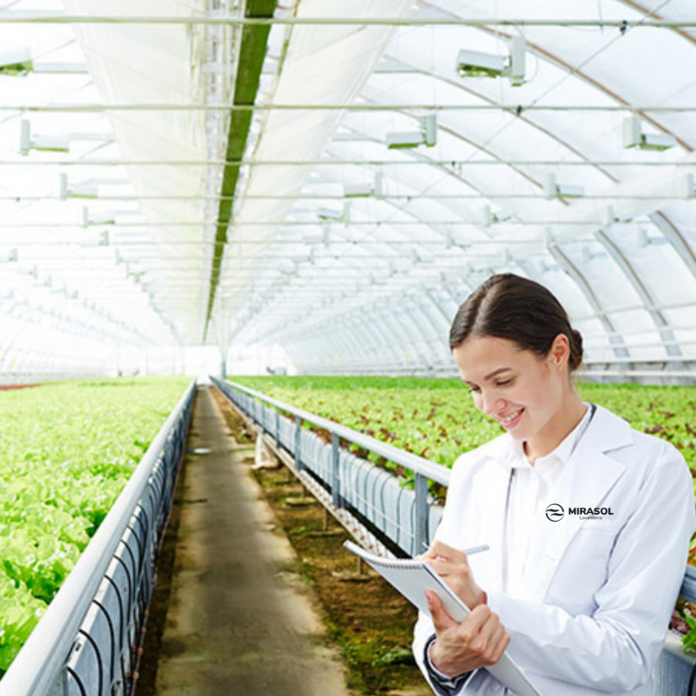 LAVANDERIA PARA AGROINDUSTRIAS,