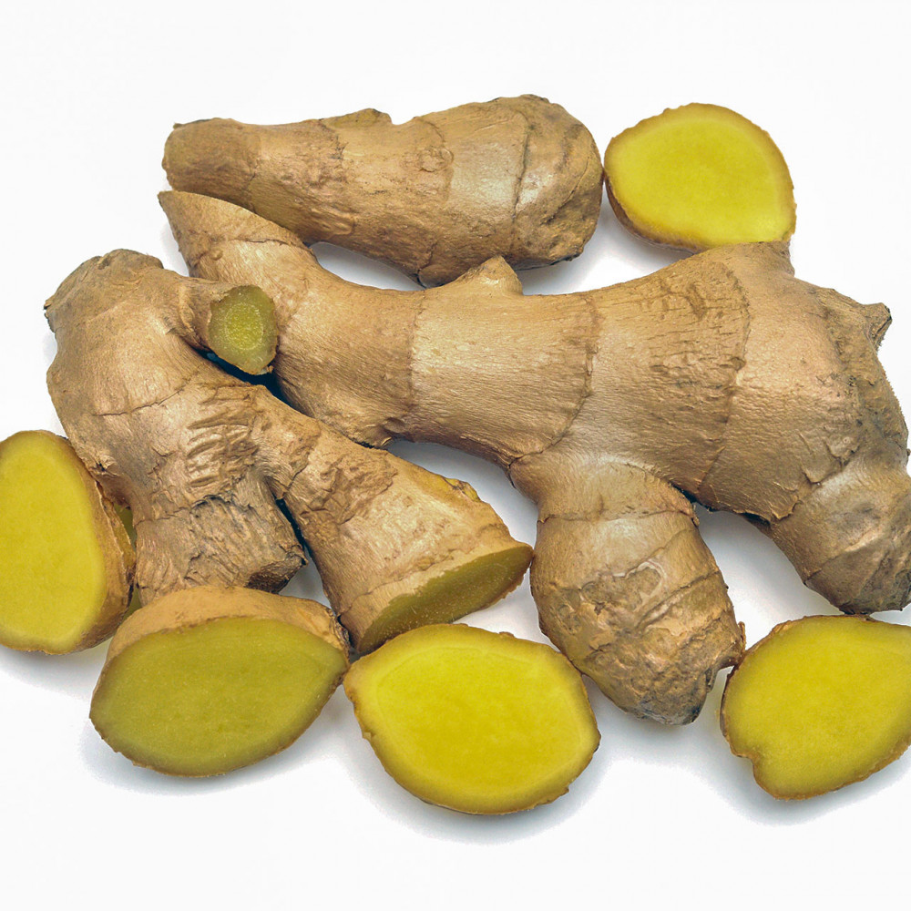 JENGIBRE ORGANICO