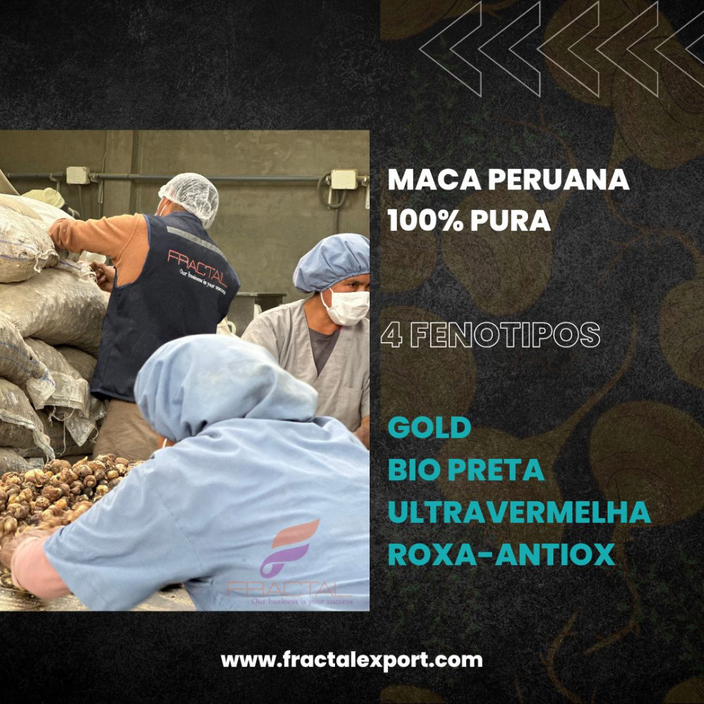 maca peruana gelatinizada