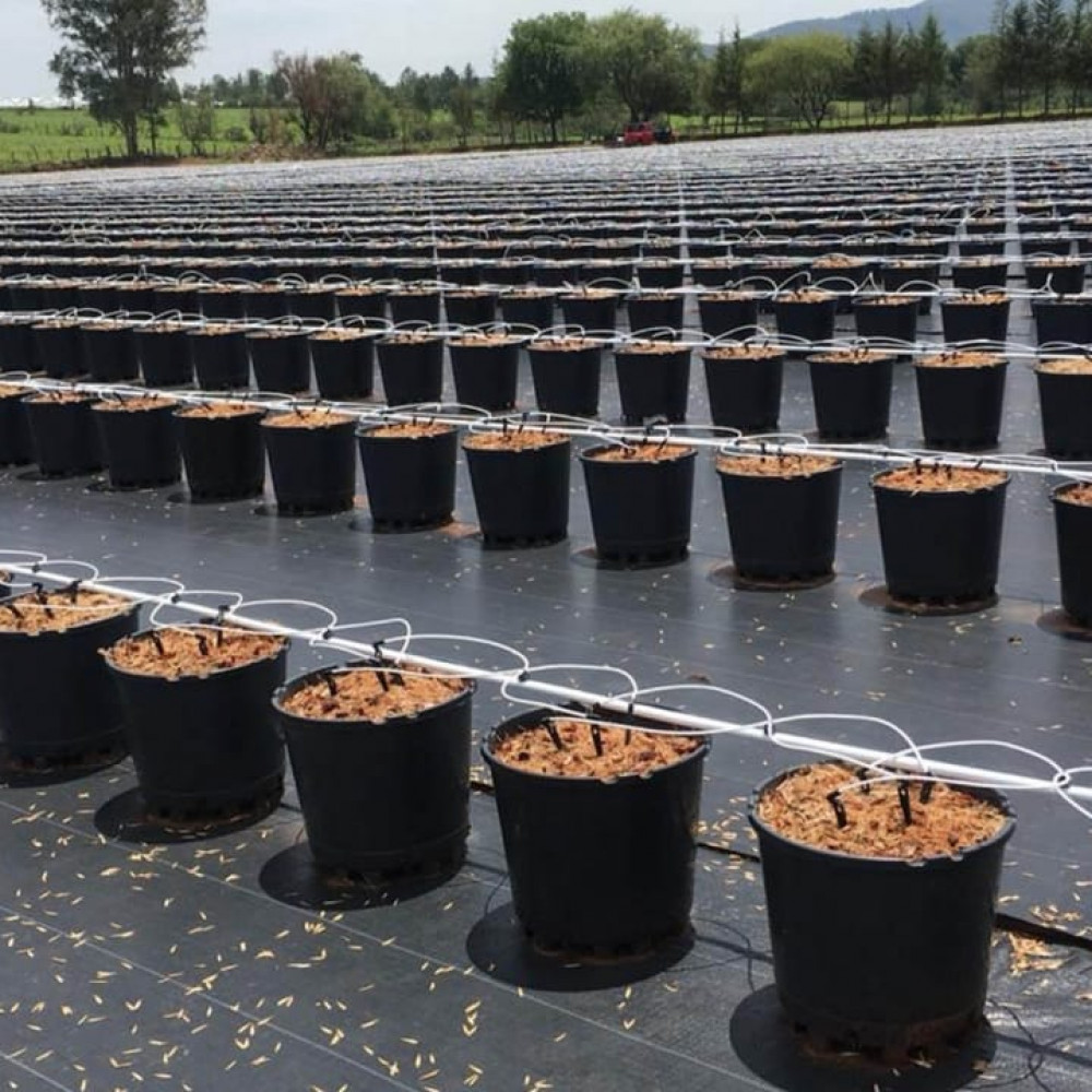 maceteras plasticas y sistemas para invernaderos