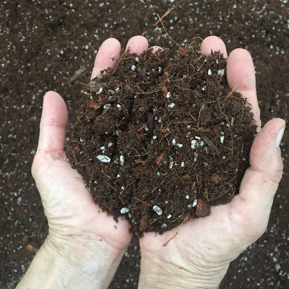 SUSTRATOS PARA GERMINACION DE ARANDANOS, FRAMBUESAS, TOMATES  ETC