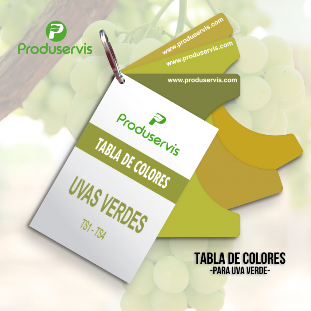 TABLA DE COLORES PARA UVA VERDE