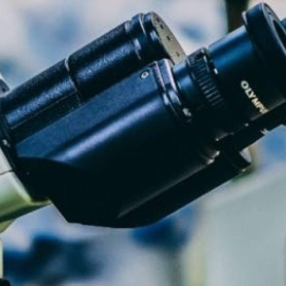 Análisis microbiológicos