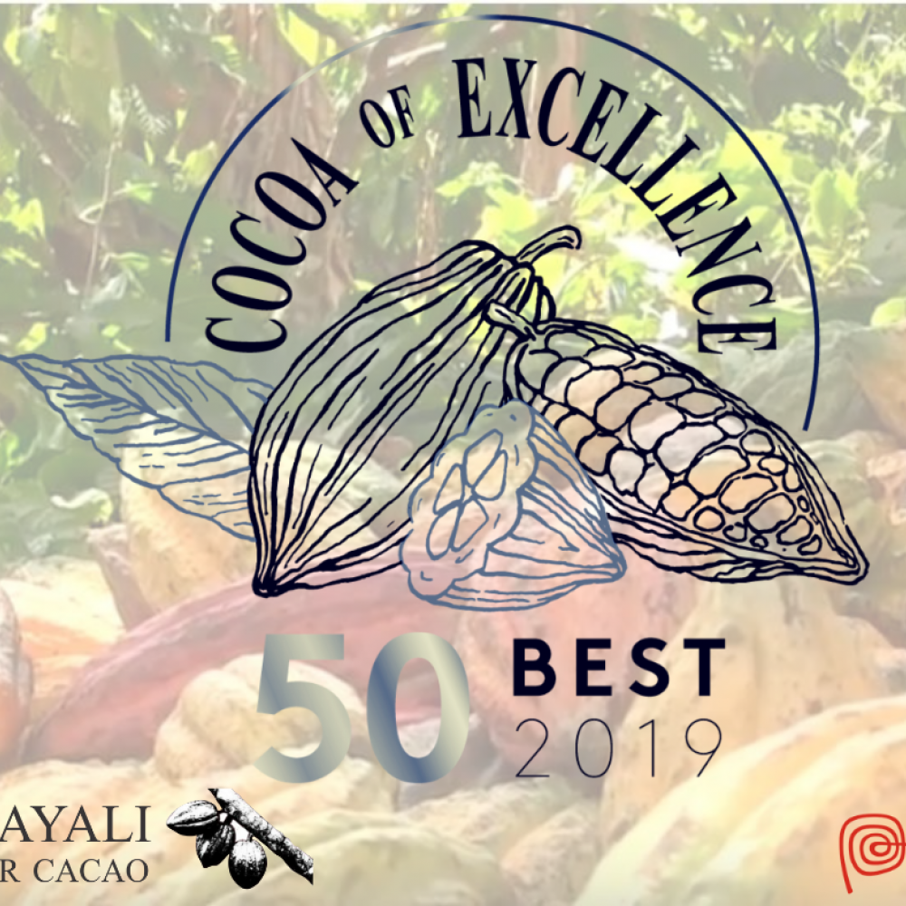 granos secos de cacao