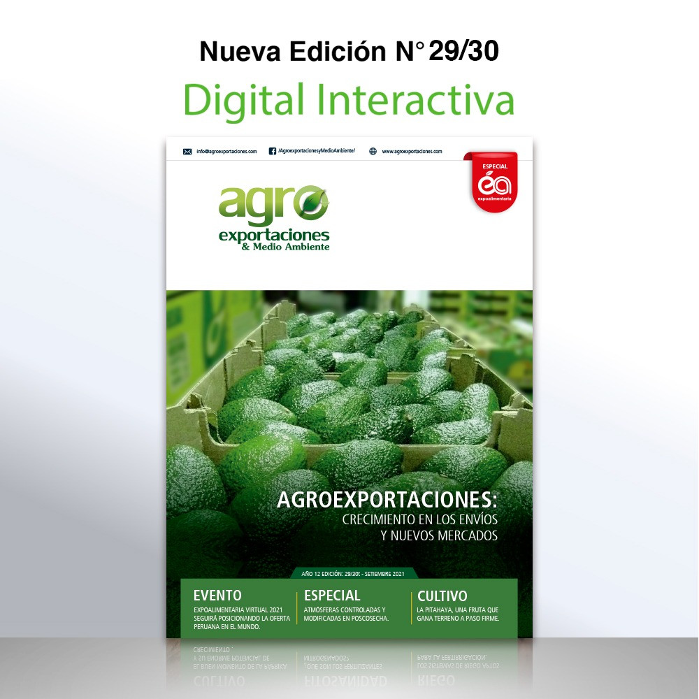Revista Agroexportaciones & Medio Ambiente