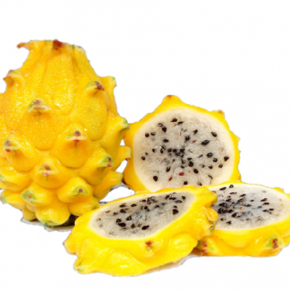 LA PITAHAYA, UNA FRUTA QUE GANA TERRENO A PASO FIRME