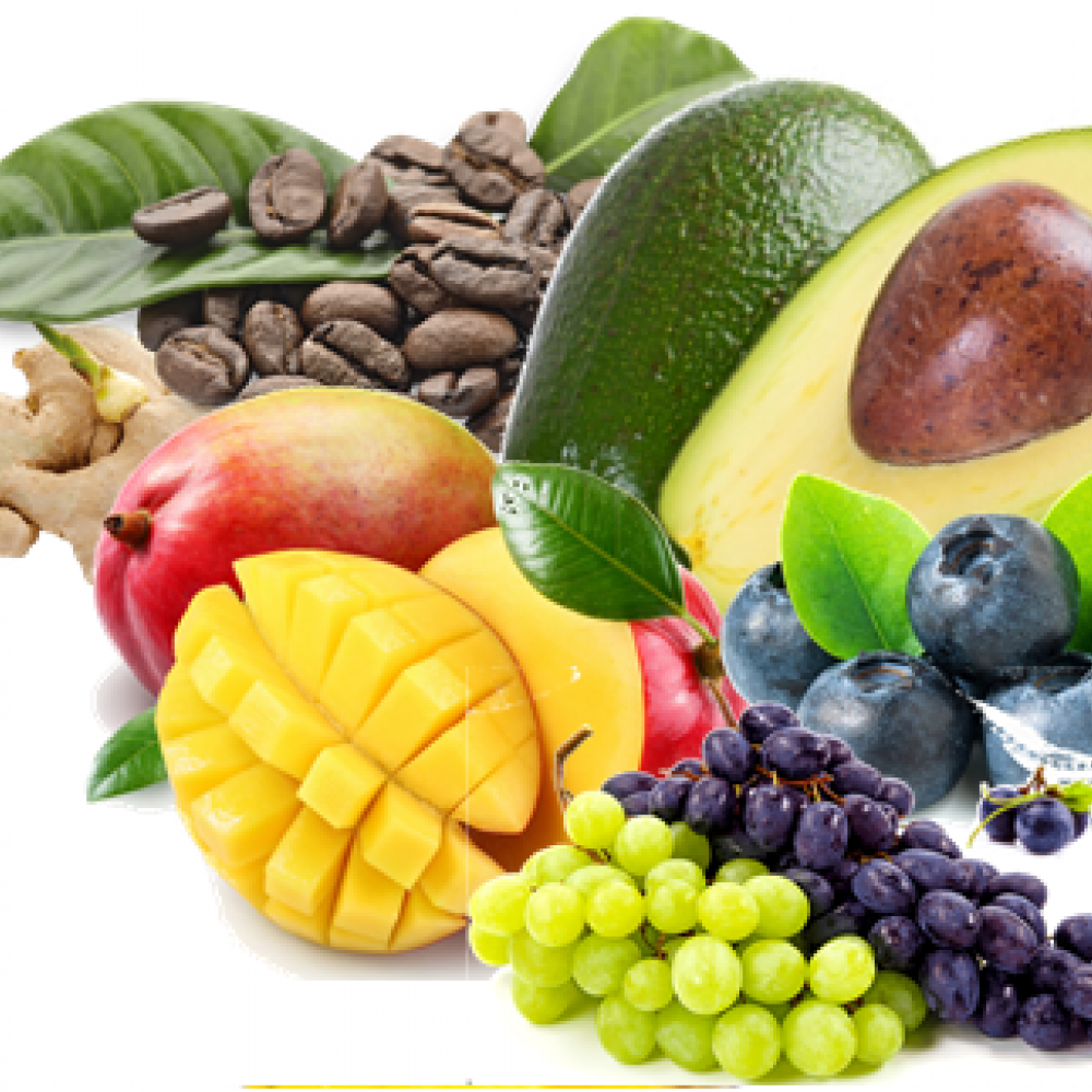 AGROEXPORTACIONES: CRECIMIENTO EN LOS ENVÍOS Y NUEVOS MERCADOS