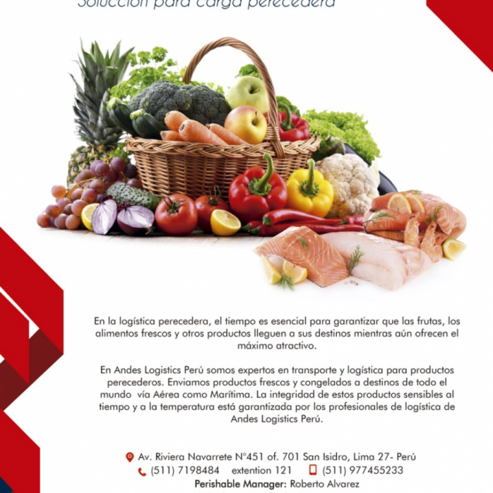 Andes Logistics del Peru S.A.C