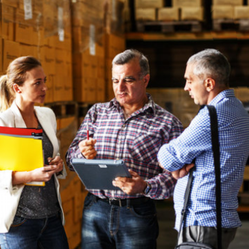 SERVICIO LOGISTICO INTEGRAL