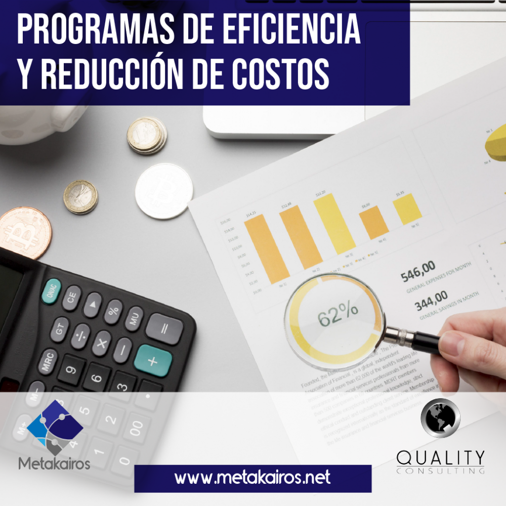 EFFICIENCY AND COST REDUCTION PROGRAMS