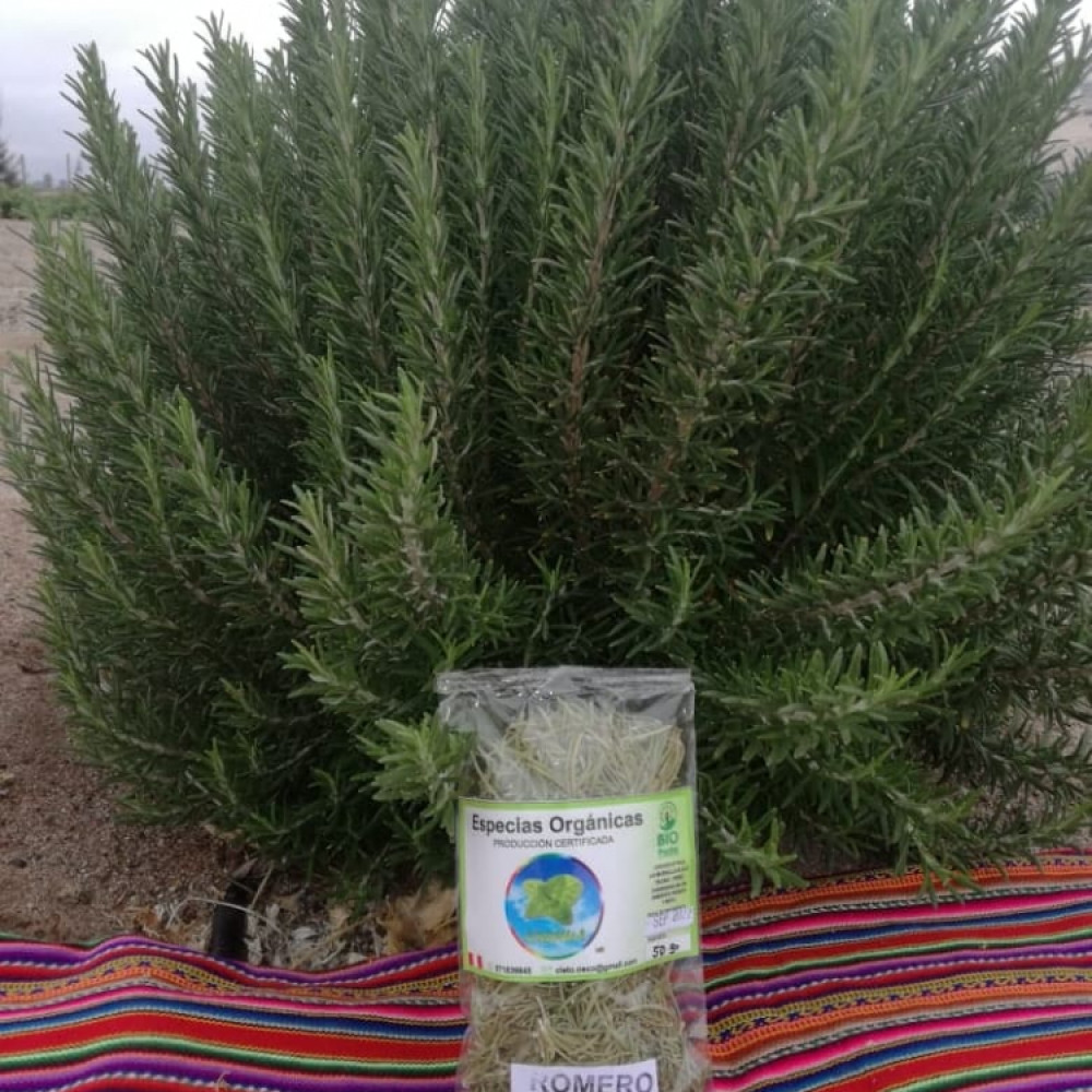 romero organico