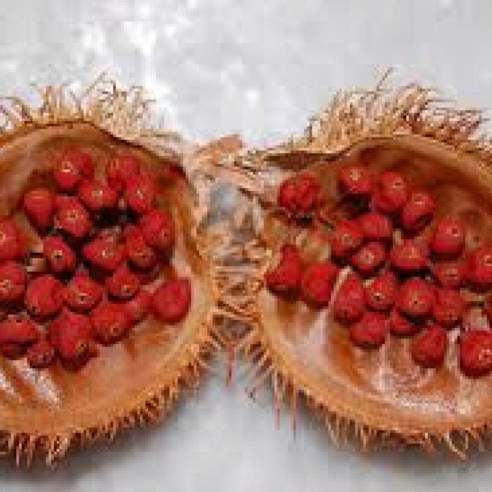 achiote